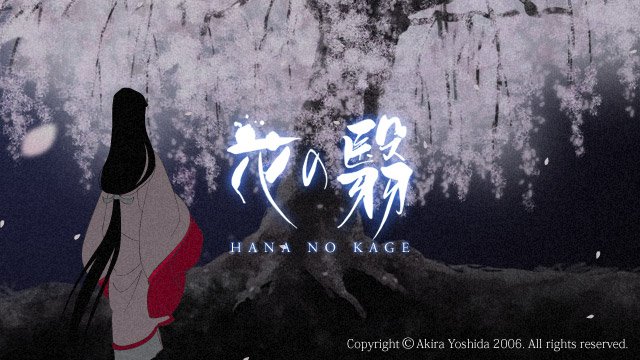 Тень цветущей вишни